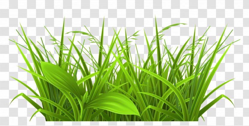 Grasses Free Content Clip Art - Wordpress - Field File Transparent PNG