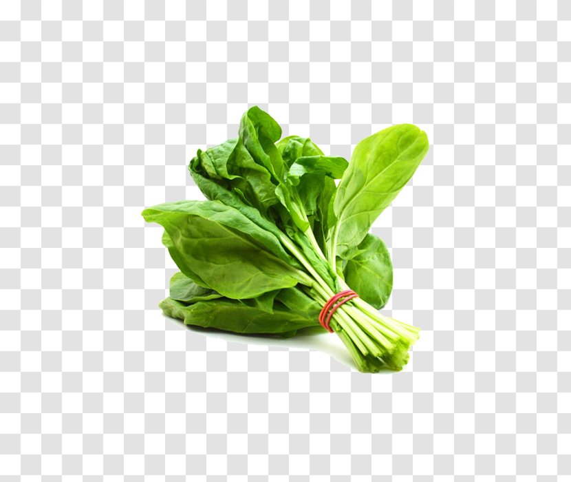 Water Spinach Leaf Vegetable Saag Transparent PNG
