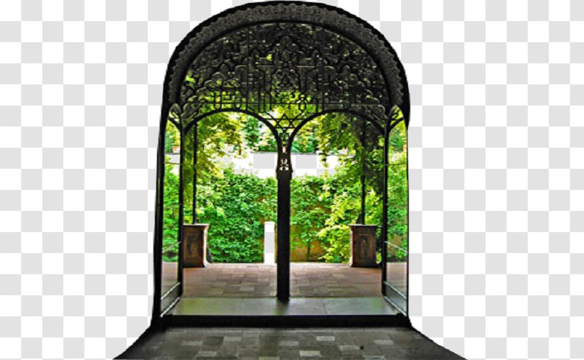 Window Tree Directory Transparent PNG