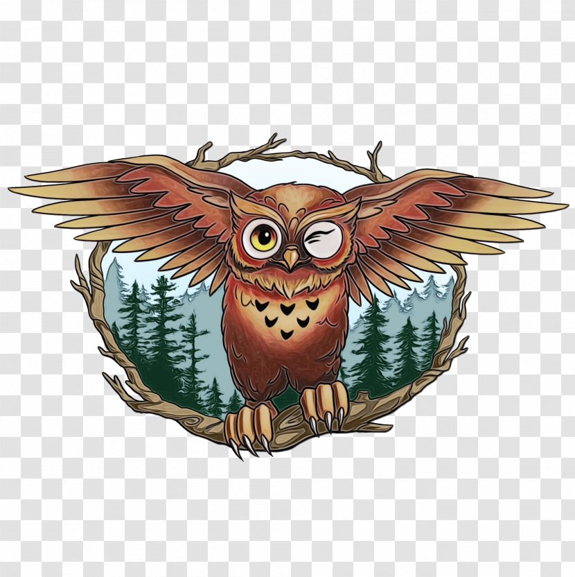 Owl Cartoon - Bird - Screech Wing Transparent PNG