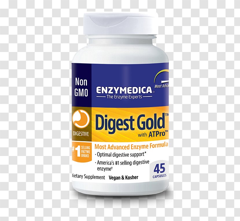 Dietary Supplement Digestion Digestive Enzyme Food - Gastrointestinal Tract Transparent PNG
