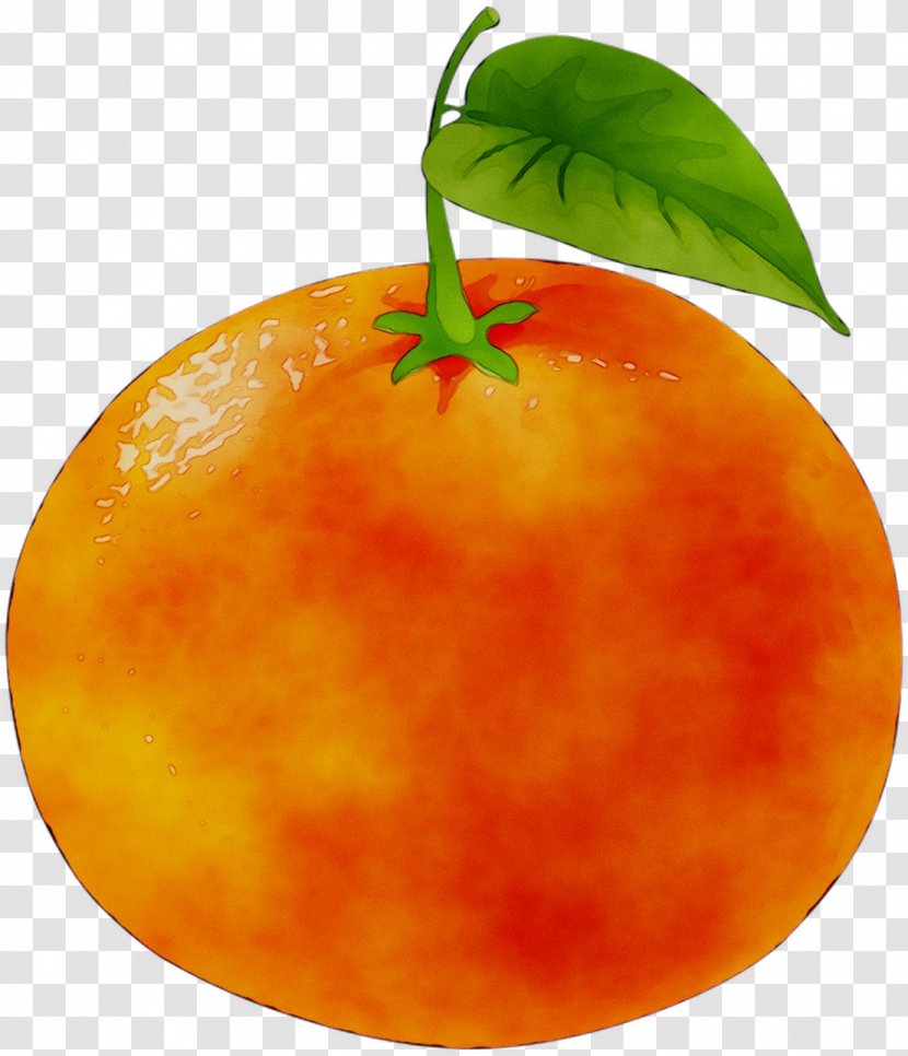 Tangerine Mandarin Orange Grapefruit Food Transparent PNG