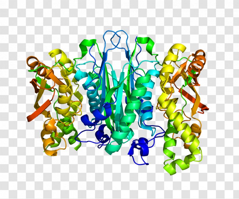 Selenophosphate Synthetase 1 Selenide, Water Dikinase Selenoprotein Selenocysteine Gene - Watercolor - Flower Transparent PNG