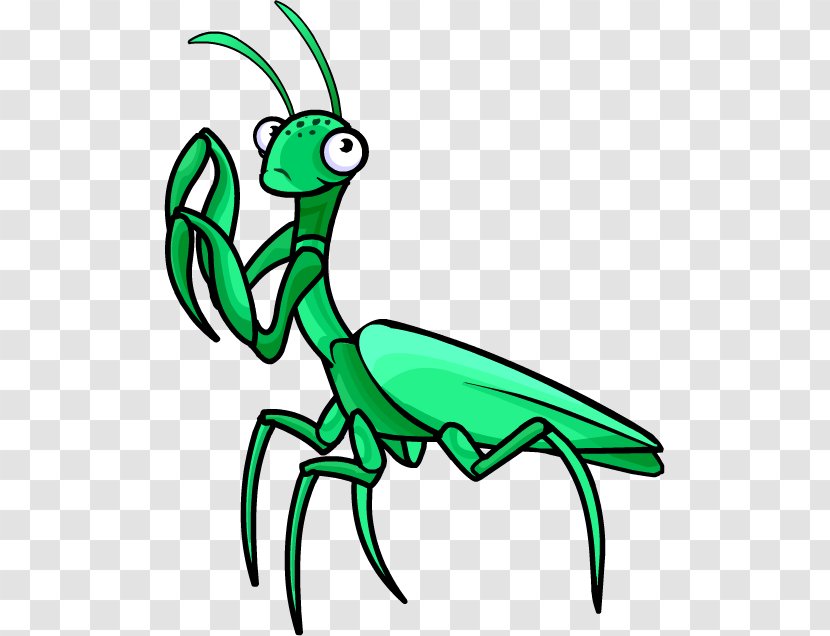 Insect European Mantis Clip Art - Line - Pray Transparent PNG