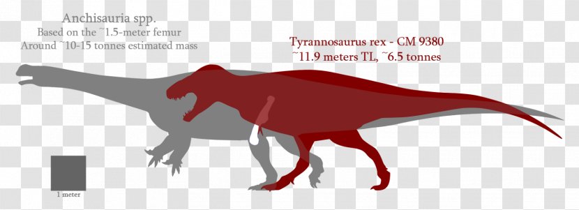 Tyrannosaurus Velociraptor Cartoon Font - Dinosaur - Animal Planet Toys Transparent PNG