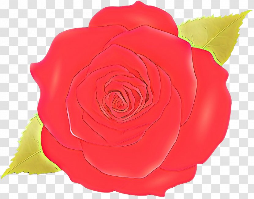Garden Roses - Floribunda - Yellow Transparent PNG