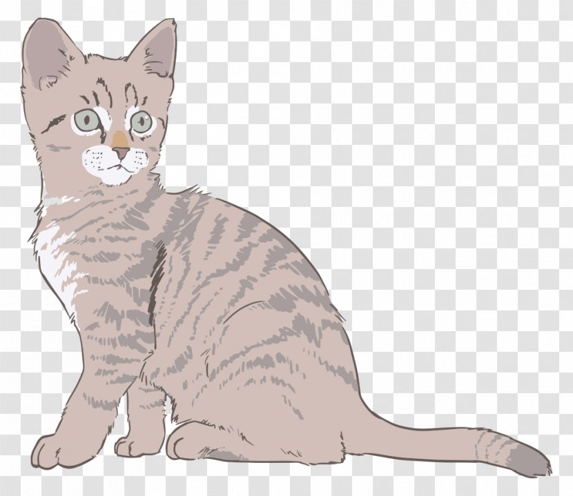 Kitten Cat Drawing Clip Art - European Shorthair - Label Line Transparent PNG
