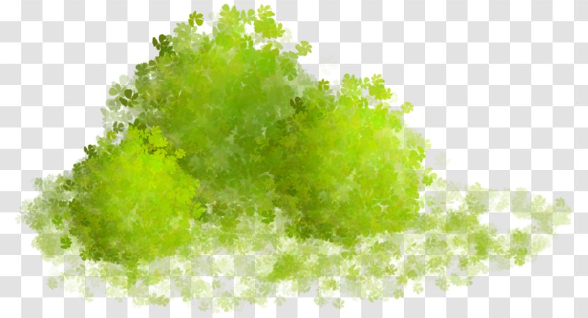 Clip Art Image Centerblog - Green Transparent PNG