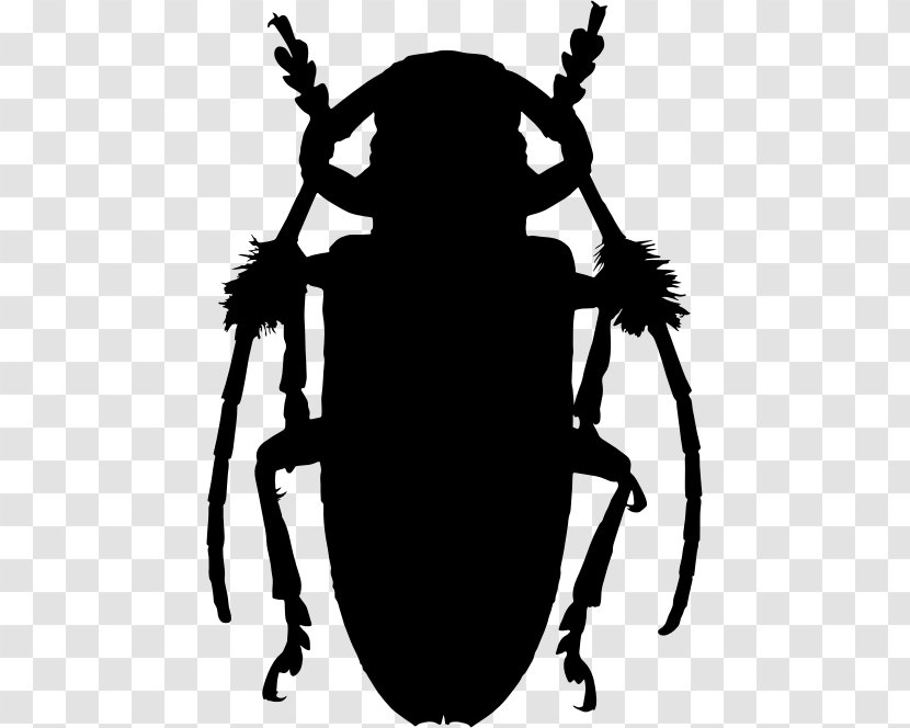 Beetle Aristobia Approximator Lamiinae Clip Art - Black And White Transparent PNG