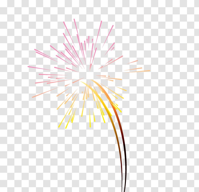 Graphic Design Text Petal Illustration - New Year Fireworks Transparent PNG
