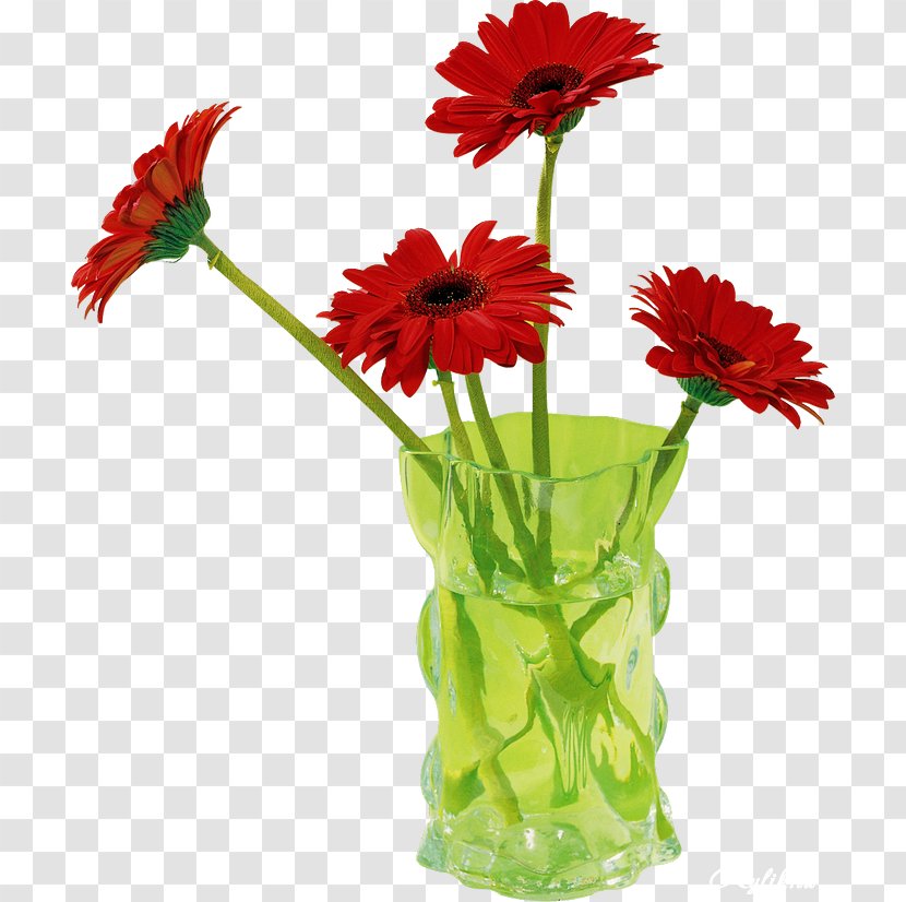 Cut Flowers Transvaal Daisy Floral Design Clip Art - Floristry - Gerbera Transparent PNG