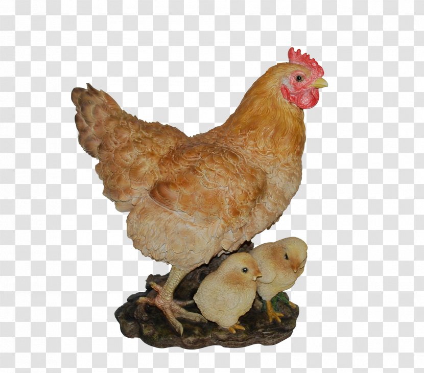 Chicken Livestock Farm Galliformes Bird - Peafowl - Hen Transparent PNG