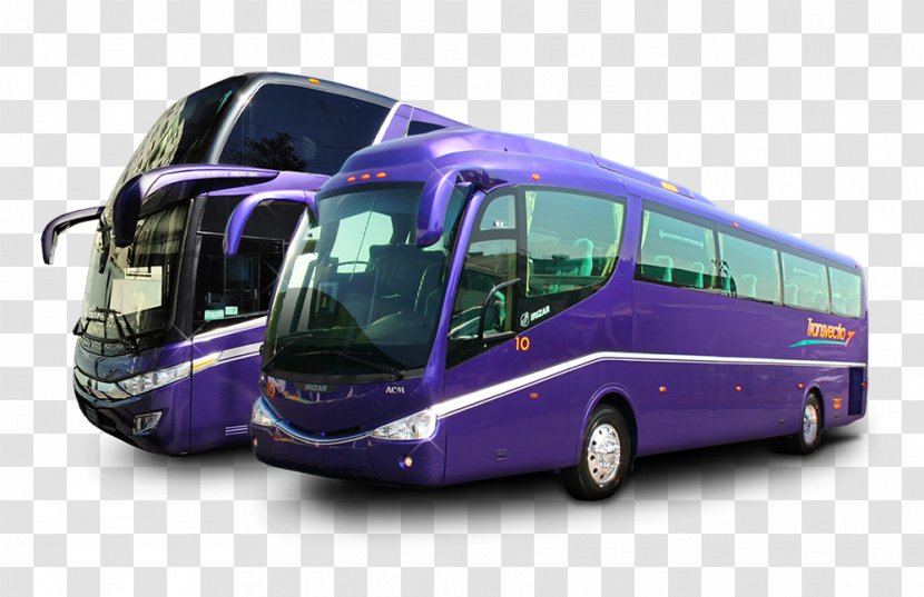 Tour Bus Service Transvectio Transport Irizar - Passenger Transparent PNG