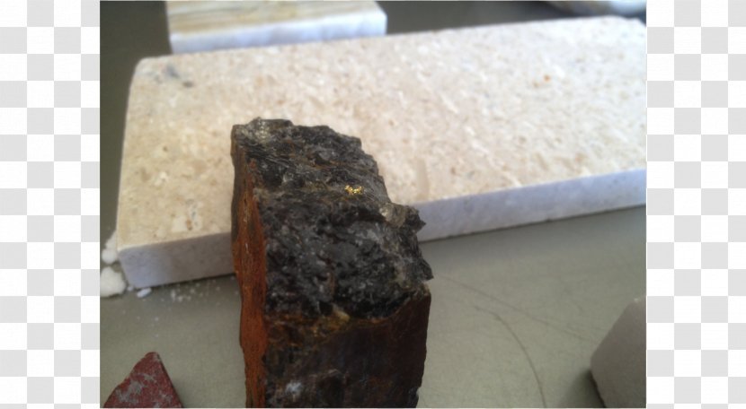 Bancroft Petrified Wood Mineral Magma Transparent PNG