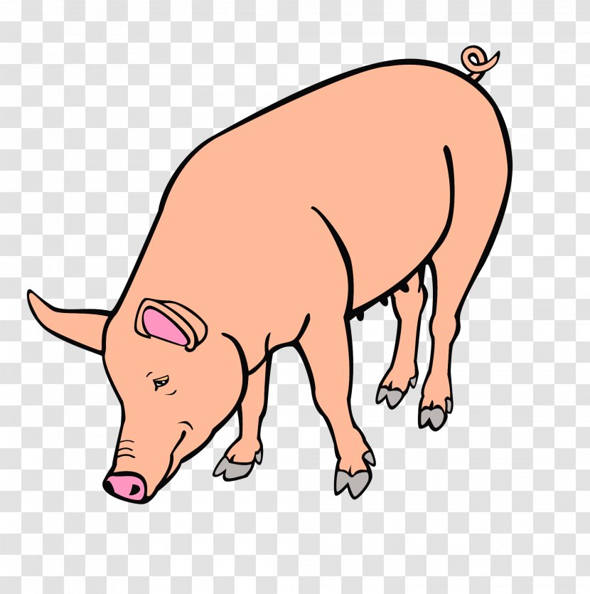 Large White Pig Black And Clip Art Transparent PNG