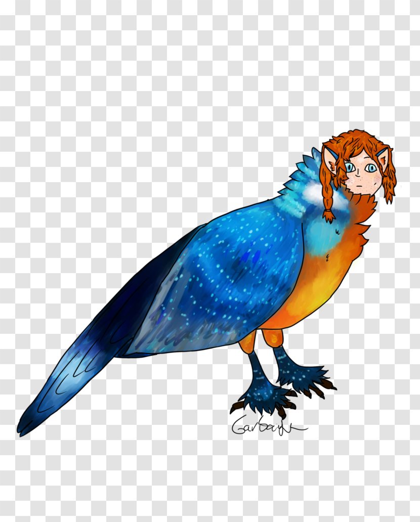 Parrot Bird Macaw Pet Feather - Koi Transparent PNG