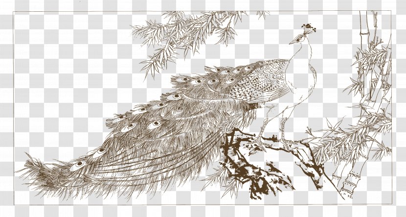 Peafowl Chinese Painting Drawing Gongbi - Ink Wash - Peacock Transparent PNG