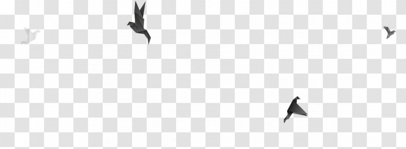Beak Bird Migration Font - Monochrome - Flex Designs Transparent PNG