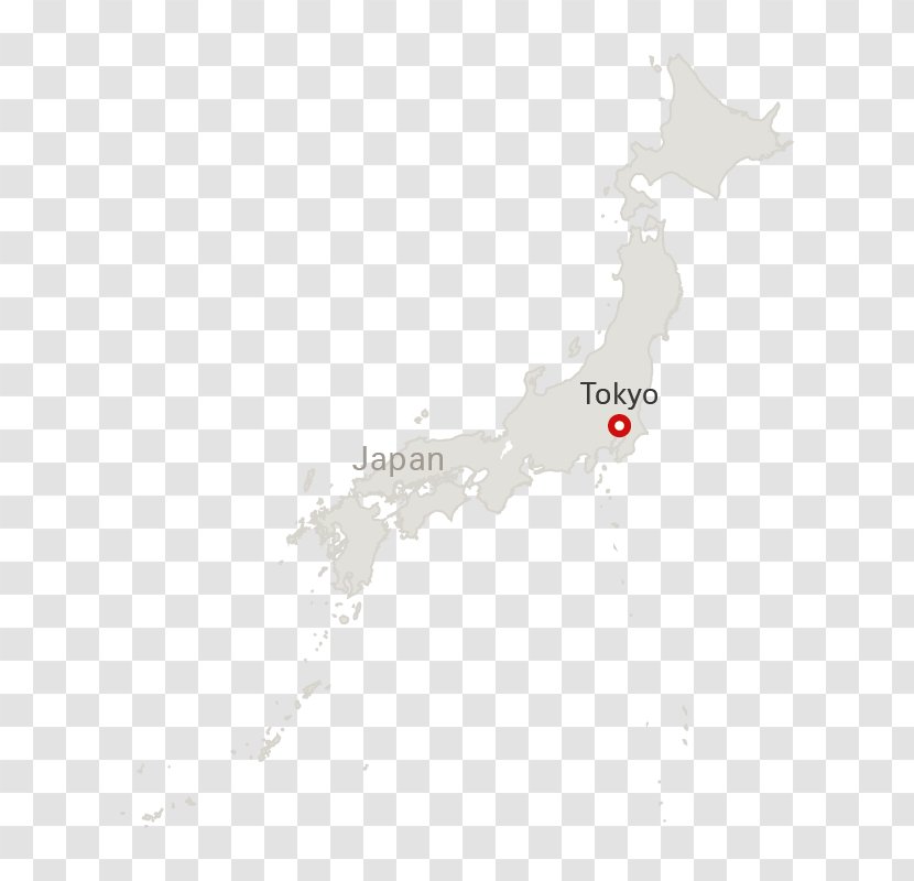 Tokyo Narita International Airport Switzerland Map Swiss Air Lines - Higashinarita Station Transparent PNG