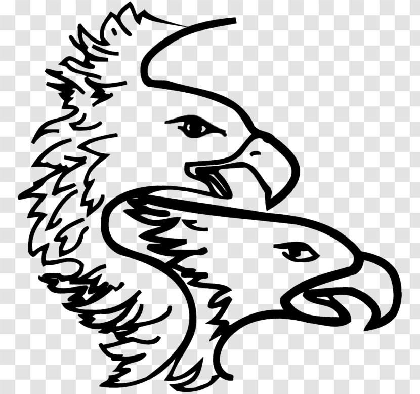 Clip Art Bald Eagle Bird Beak - Hawk - Drawing Illustration Transparent PNG
