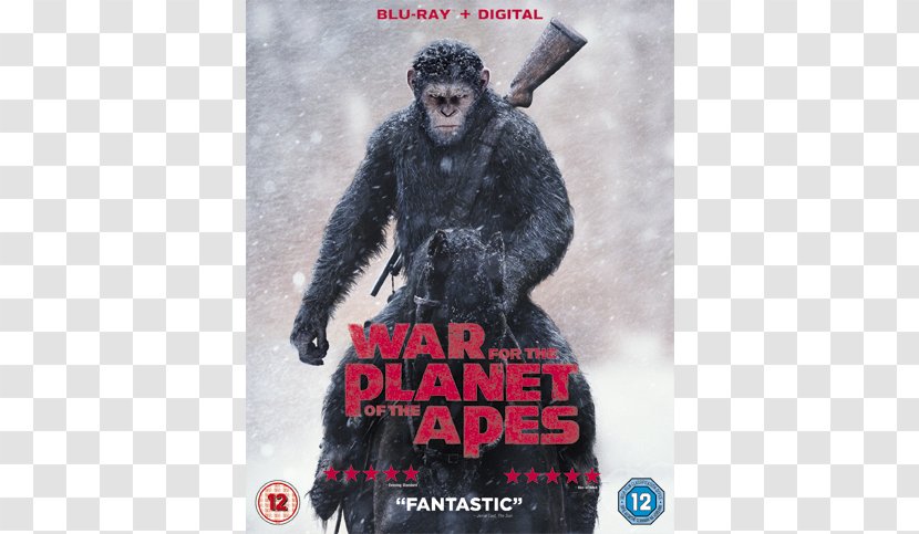 Blu-ray Disc Planet Of The Apes DVD 20th Century Fox Film - Digital Copy Transparent PNG