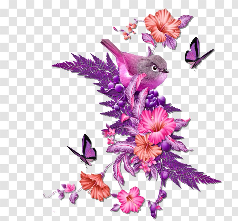 Flower Image Illustration Design - Petal - Shah Ornament Transparent PNG