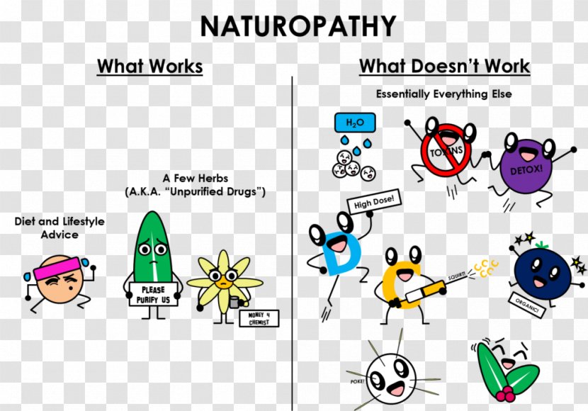 Naturopathy Bastyr University Medicine Alternative Health Services Homeopathy - Technology Transparent PNG