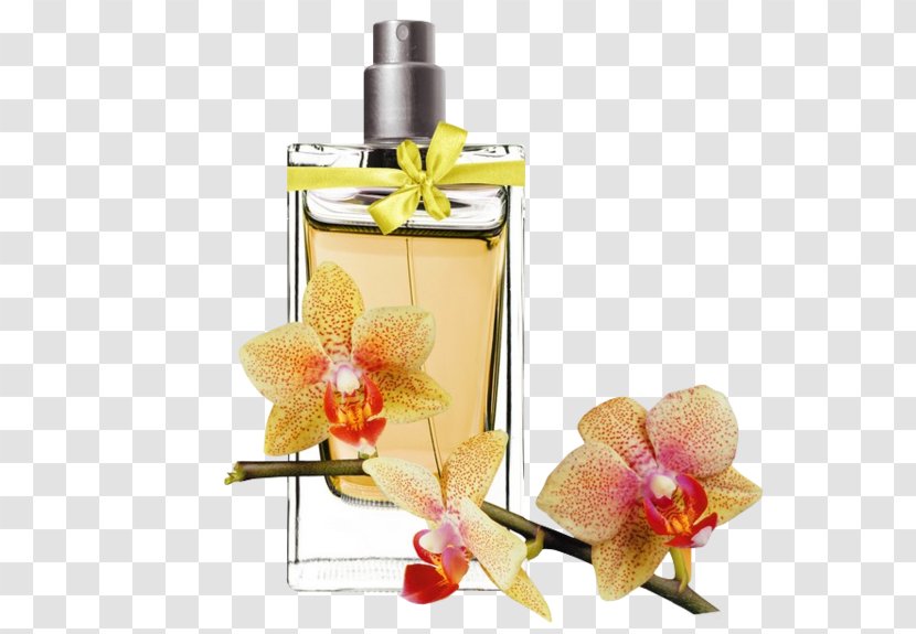 Perfume Cosmetics Flacon Rosemary Lipstick - Woman Transparent PNG