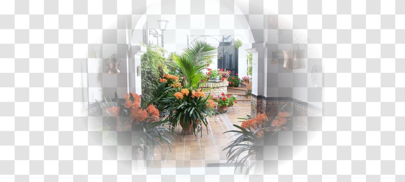 Andalusian Patio Garden Fountain Fiesta Of The Patios In Cordova - Flowerpot - House Transparent PNG