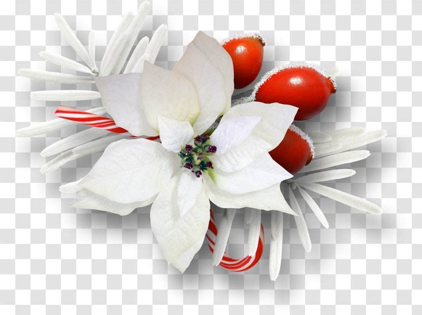 Christmas Clip Art - Cut Flowers - White Floral Decoration Pattern Transparent PNG