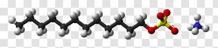 Palmitic Acid Vaccenic Fatty Carboxylic - Structural Formula Transparent PNG