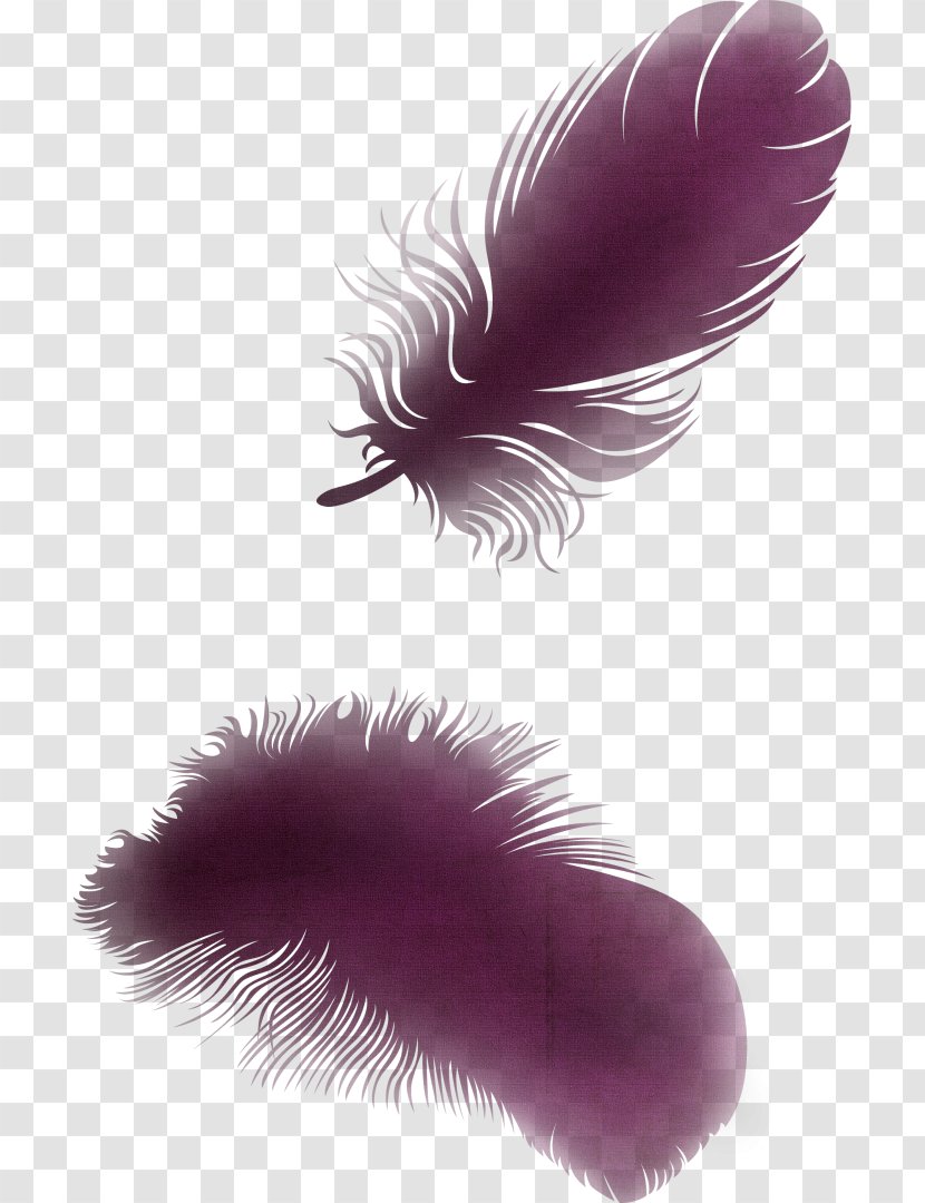 Feather Wing Bird Clip Art - Quill Transparent PNG