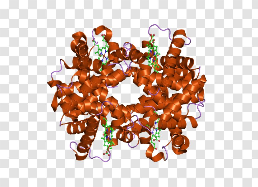 Hemoglobin, Alpha 1 HBB Hemoglobin Subunit Zeta HBD - Heart - Tree Transparent PNG