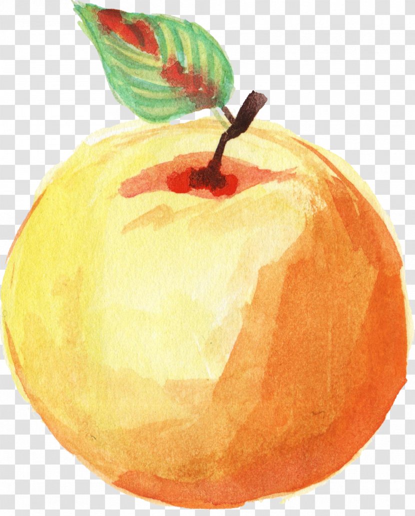 Apple Watercolor Painting Image Clip Art - Drawing Transparent PNG