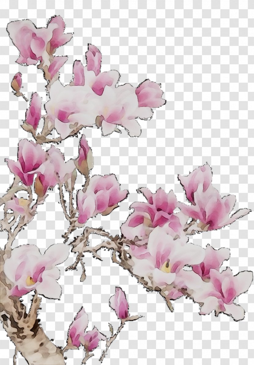 Floral Design Cut Flowers ST.AU.150 MIN.V.UNC.NR AD Cherry Blossom - Twig - Petal Transparent PNG