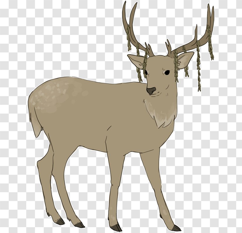 Reindeer White-tailed Deer Elk Cattle - Wildlife Transparent PNG