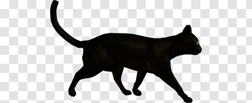 Black Cat Domestic Short-haired Dog Whiskers Transparent PNG
