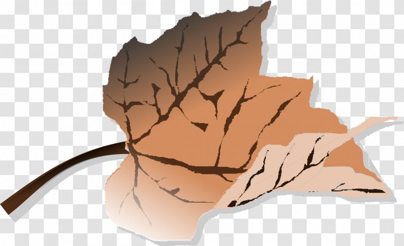 Autumn Leaf Color Clip Art - Brown Transparent PNG
