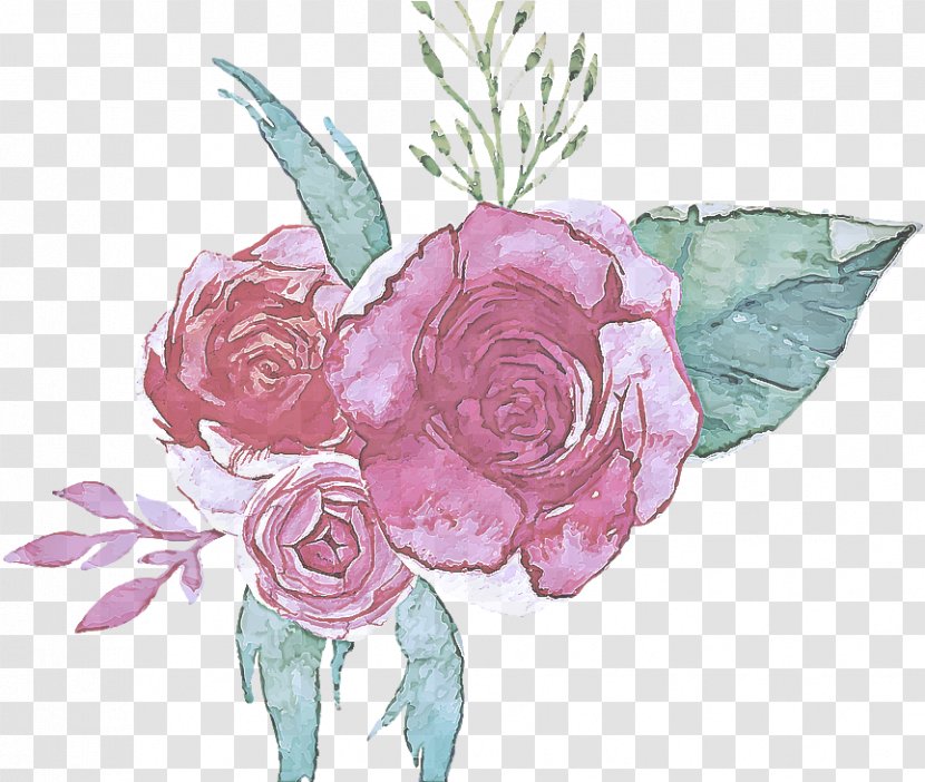 Garden Roses - Flower - Bouquet Flowering Plant Transparent PNG