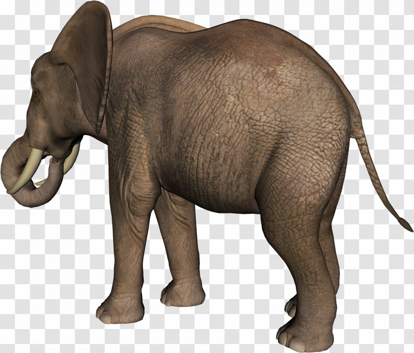 Indian Elephant African Tusk Wildlife - Mammal Transparent PNG