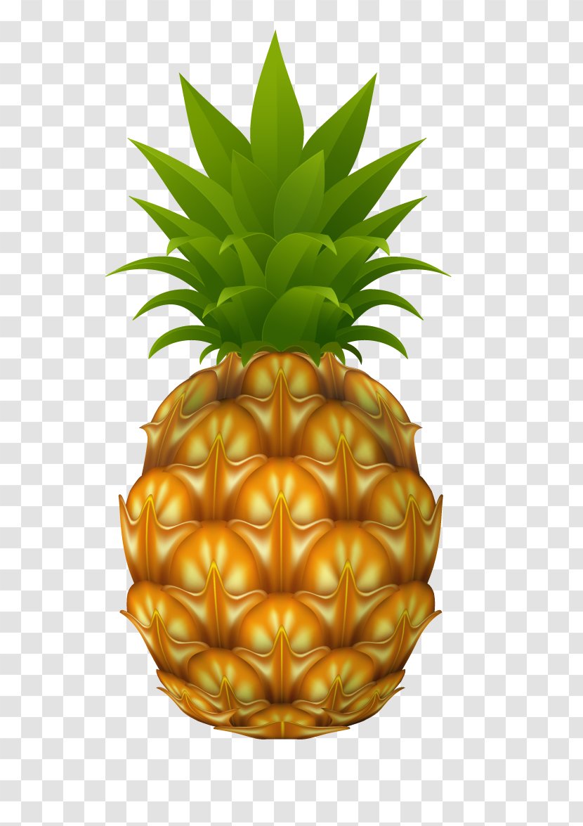 Pineapple Stock Photography Drawing Clip Art - Juice Transparent PNG