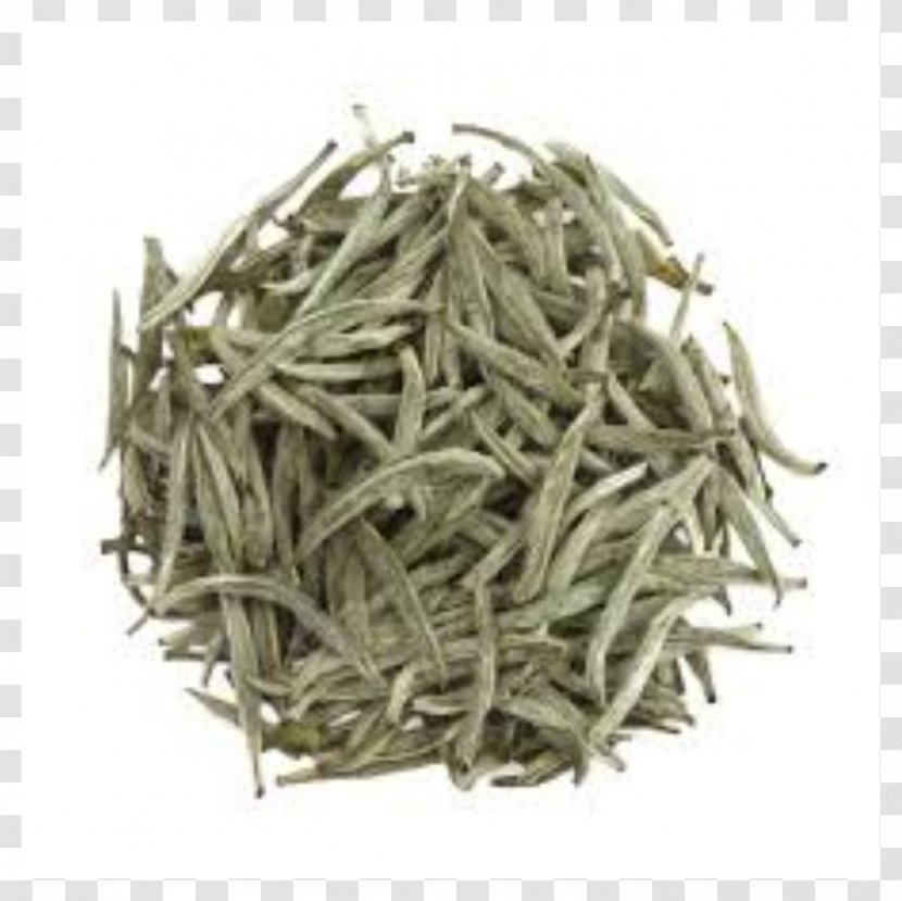 White Tea English Breakfast Baihao Yinzhen Green - Oolong Transparent PNG