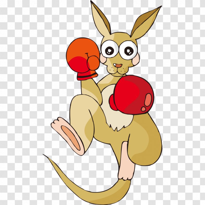 Macropodidae Kangaroo Cartoon Illustration - Animation - Boxing Transparent PNG