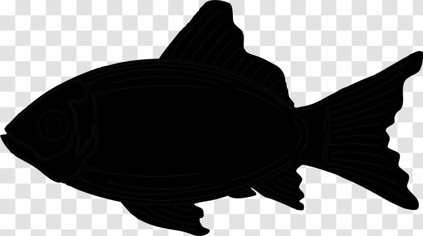 Fish Black M - Carp Transparent PNG