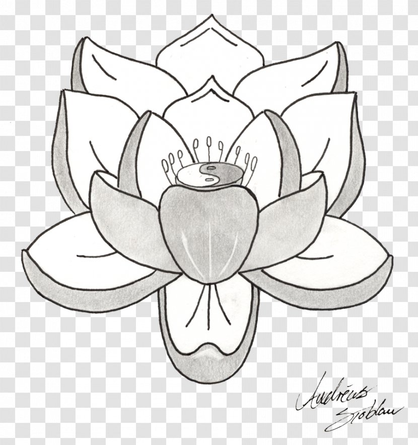 Tattoo Nelumbo Nucifera Drawing Sketch - Flora - Lotus Tattoos Picture Transparent PNG