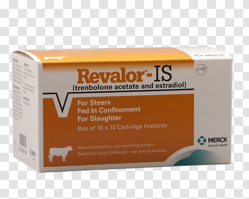 Beef Cattle Calf Anabolic Steroid Animal Slaughter Feedlot - Intervet Inc Transparent PNG