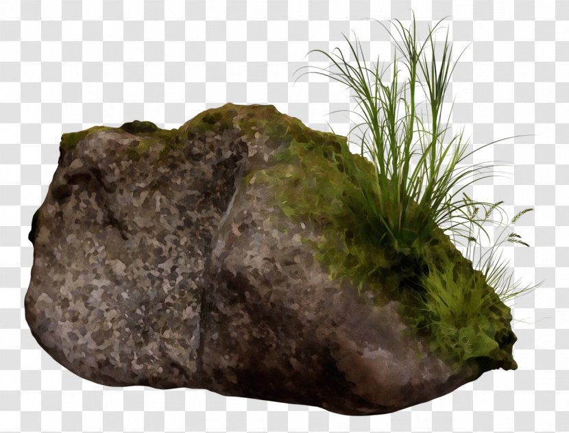 Rock Background - Fur - Soil Nonvascular Land Plant Transparent PNG