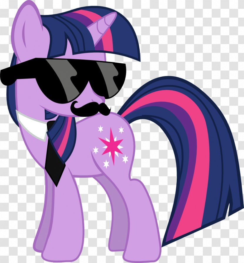 Twilight Sparkle Derpy Hooves Applejack Pinkie Pie Rarity - Flower - Swag Transparent PNG