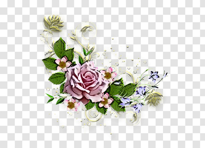 Floral Design - Flower - Rose Family Transparent PNG