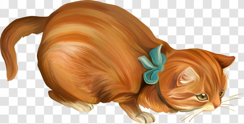 Whiskers Kitten Tabby Cat Tail - Snout - tree Transparent PNG
